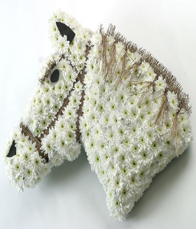 Horses Head Funeral Tribute