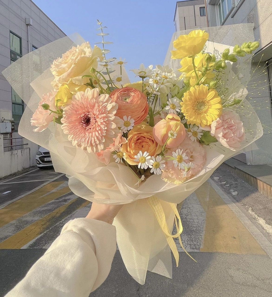 Spring Blooms Guide