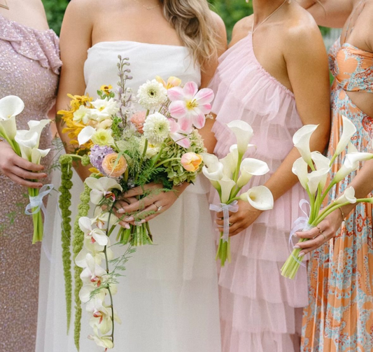 Spring Blooms Guide