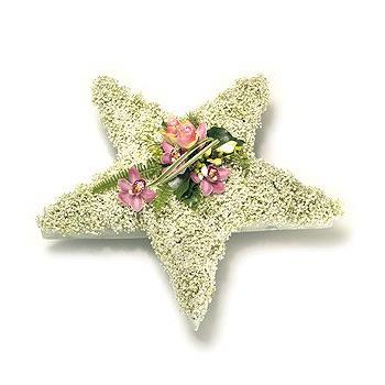 Gyp Star Tribute
