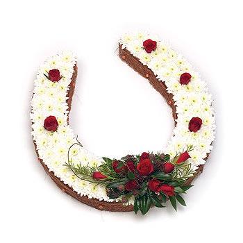 Horse Shoe Tribute
