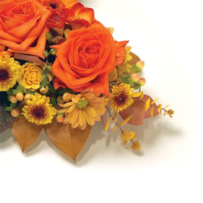 Loose Flower Cushion