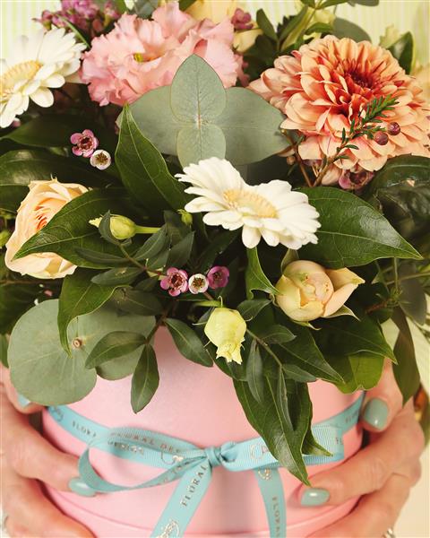 Pastel Hatbox