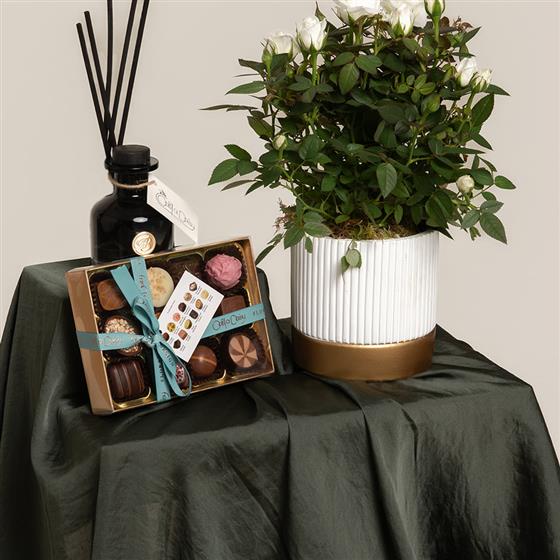 Rose Infuser Gift Set