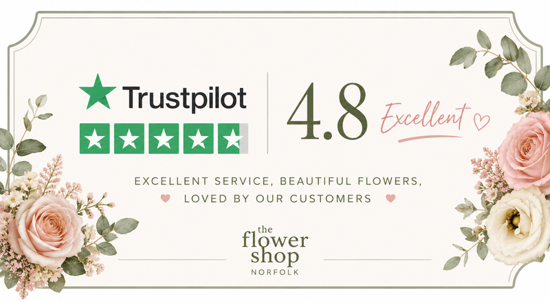 Trustpilot reviews