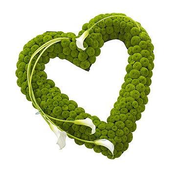 Heart-shaped wreath made of green flowers on a white background