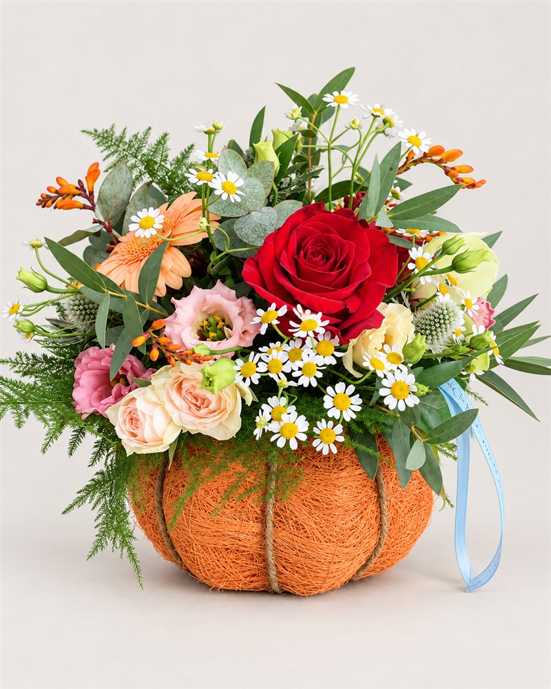 Autumn Flowers