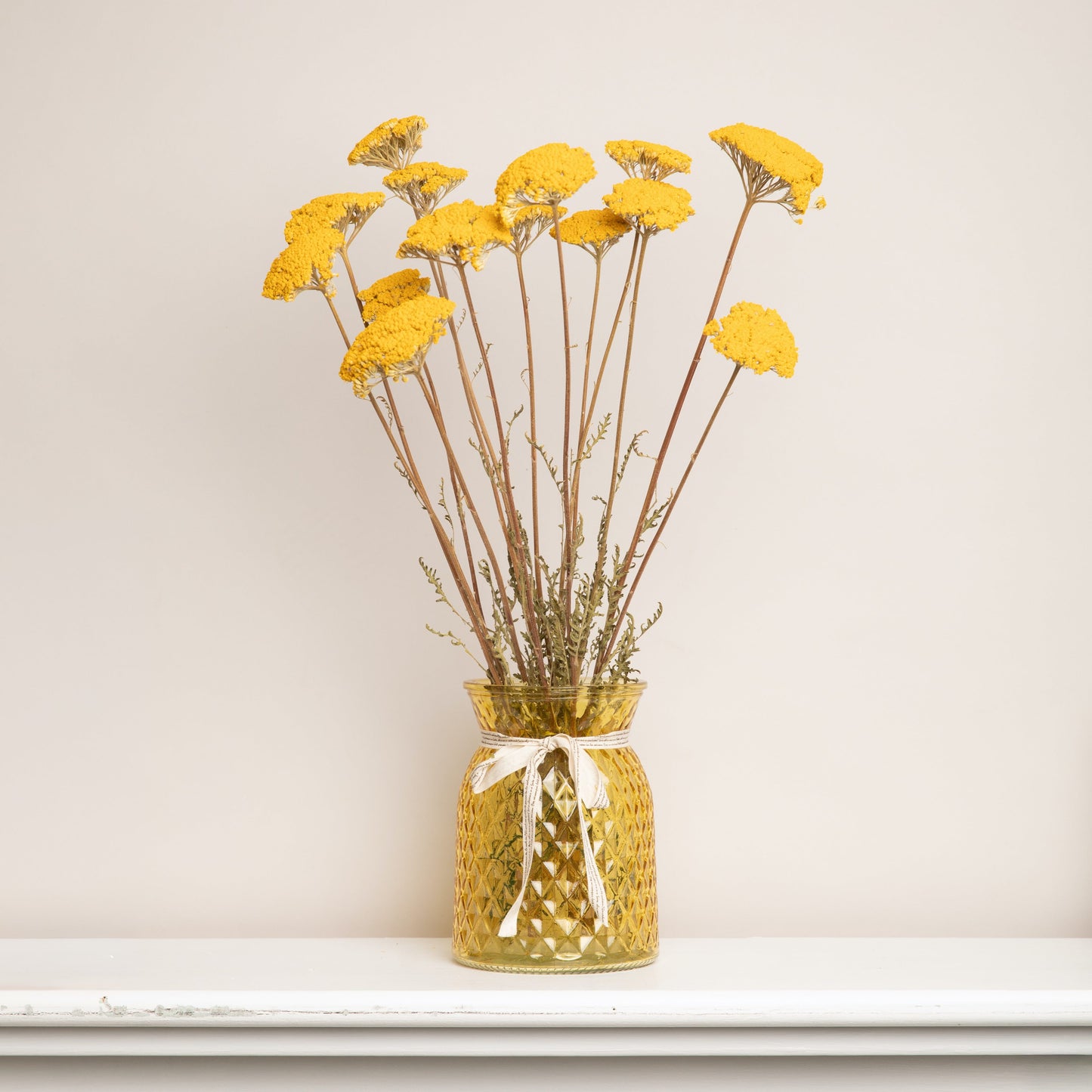 Dried Achillea