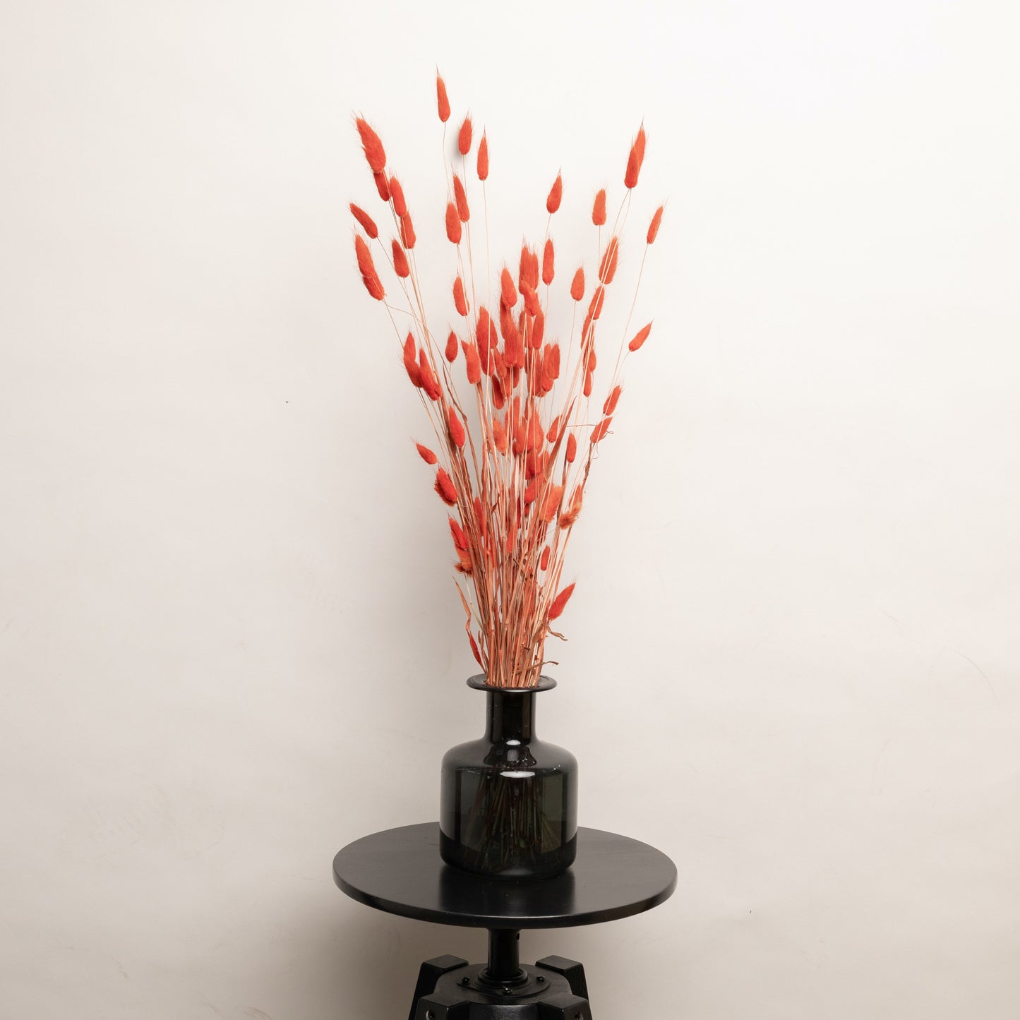 Orange Bunny Tails