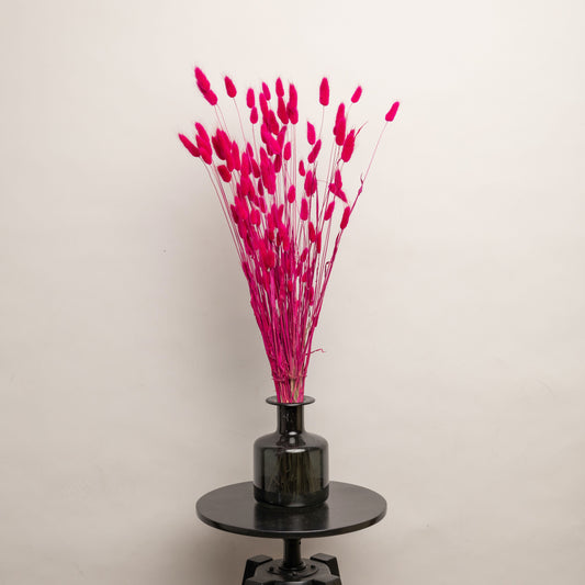 Pink Bunny Tails